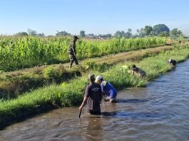 Sinergi Babinsa dan Petani Normalisasi Irigasi Demi Kelancaran Pengairan Sawah
