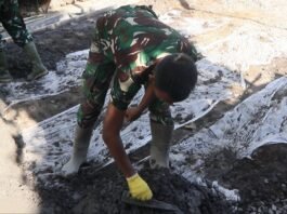 Tahap Finishing Rabat Jalan TMMD ke-129 Dikebut, Satgas dan Warga Utamakan Kualitas Hasil Pembangunan