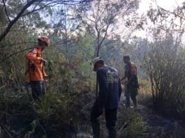 Babinsa Koramil 0821/03 Senduro Bantu Padamkan Kebakaran Hutan di Kawasan TNBTS