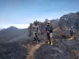Bersama Stakeholder, Babinsa Argosari Monitoring Wilayah Pasca Karhutlah