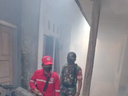 Jaga Kesehatan Warga, Babinsa Citrodiwangsan Dampingi Pelaksanaan PSN dan Fogging