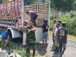 Topang Kebutuhan Pangan Masyarakat, Babinsa Wonokerto Dukung Pengoptimalan Inovasi Pawon Urip